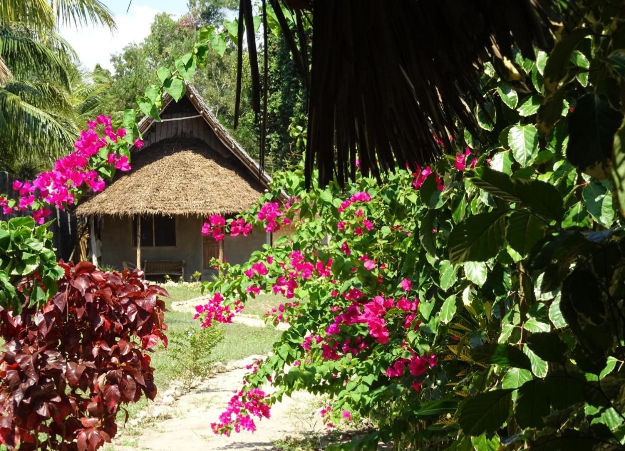 Zanzibar Jabar Lodge المظهر الخارجي الصورة