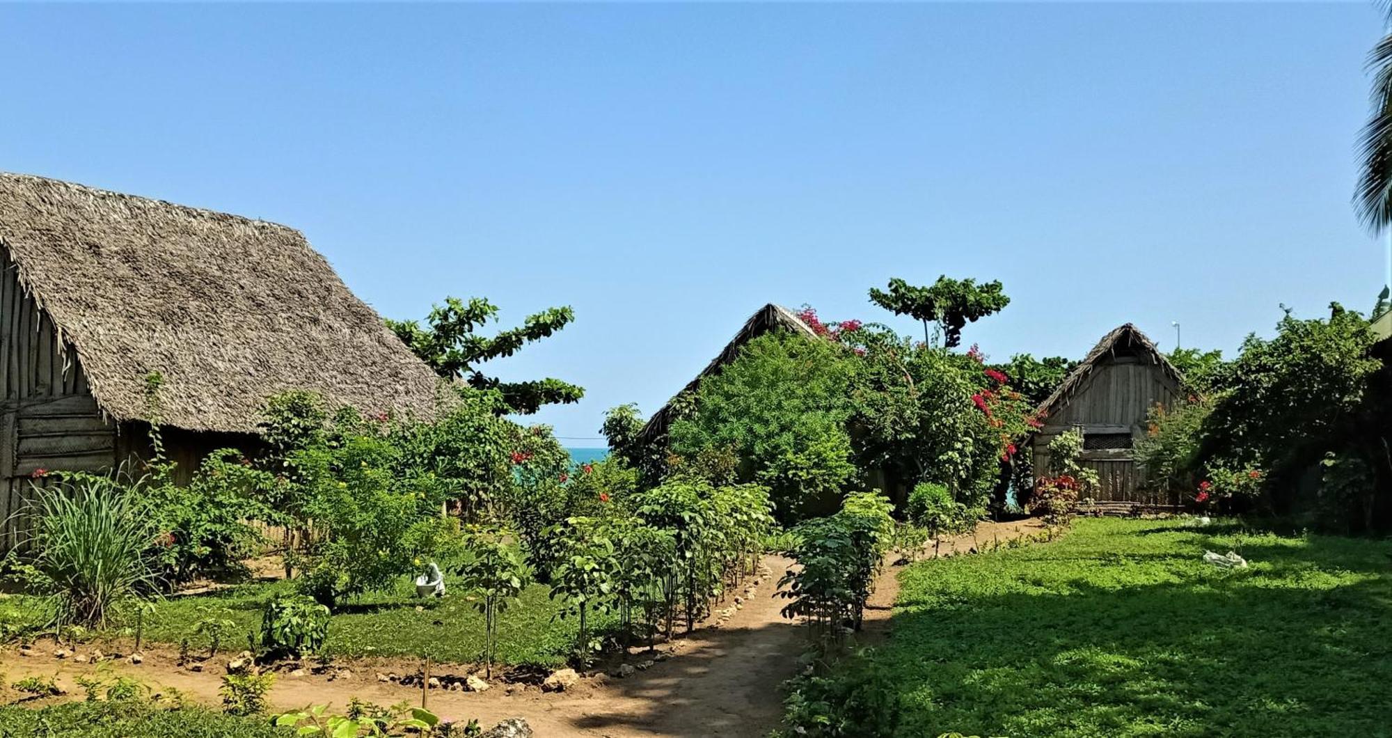 Zanzibar Jabar Lodge المظهر الخارجي الصورة